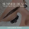 Online Lash and Brow Tinting Course
