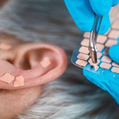 Online Ear Seeding Course