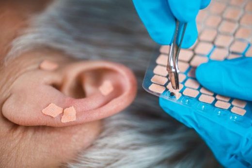 Online Ear Seeding Course