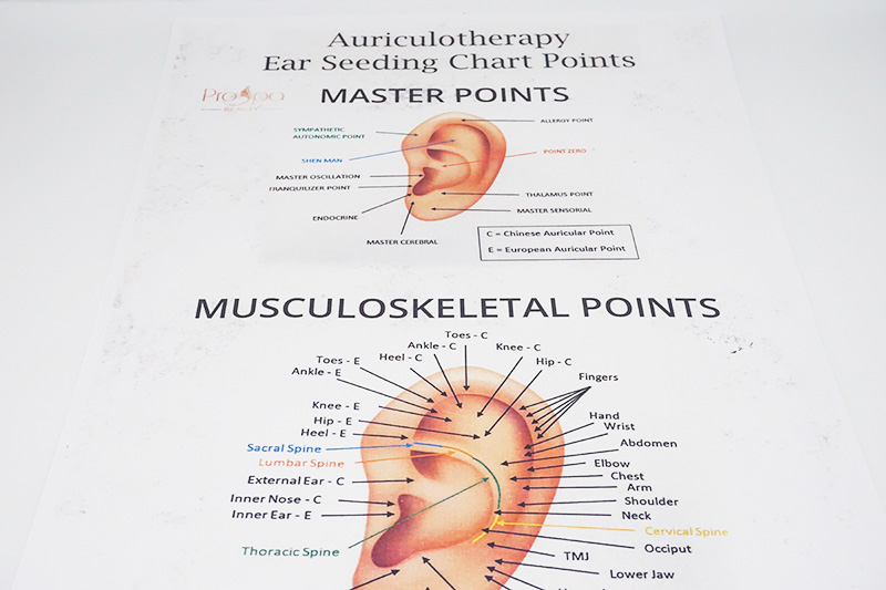 Ear Seeding Kit  The Online Beauty Courses